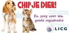 Banner chipmaand2017 234x112